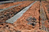 concrete footings